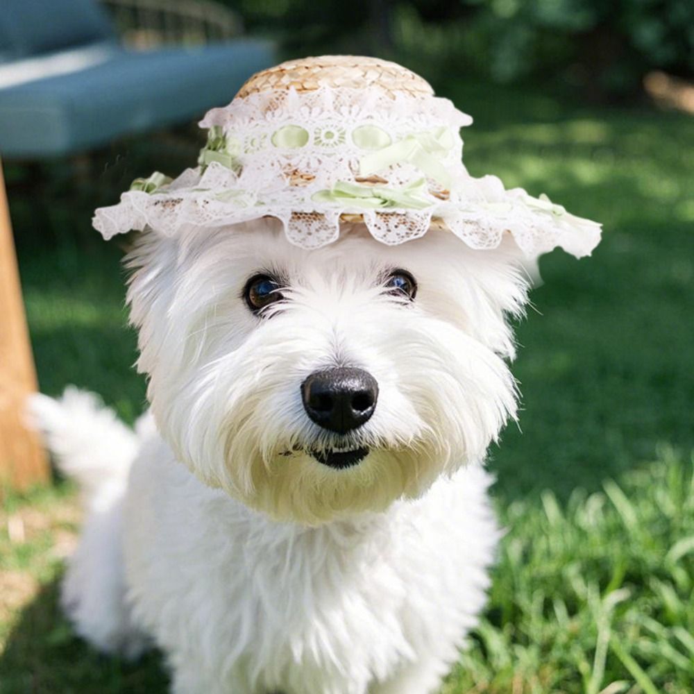 Pet Outdoor Supplies Princess  - Straw Hat Summer 评论和价格
